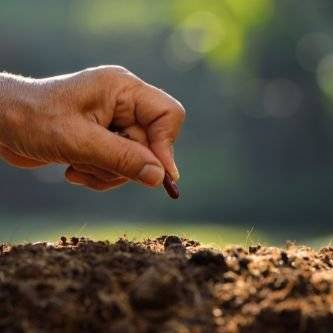 الدعم الفني للزراعة