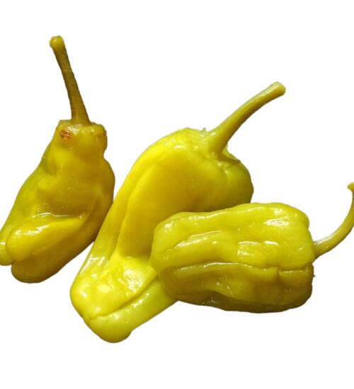 Pepperoncini Pepper
