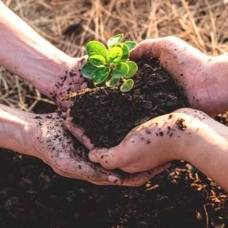 الزراعة التعاقدية